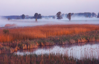 Stangenhagener Polder